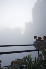 E217C578-9F17-48CE-908D-67223A8E7BDA
