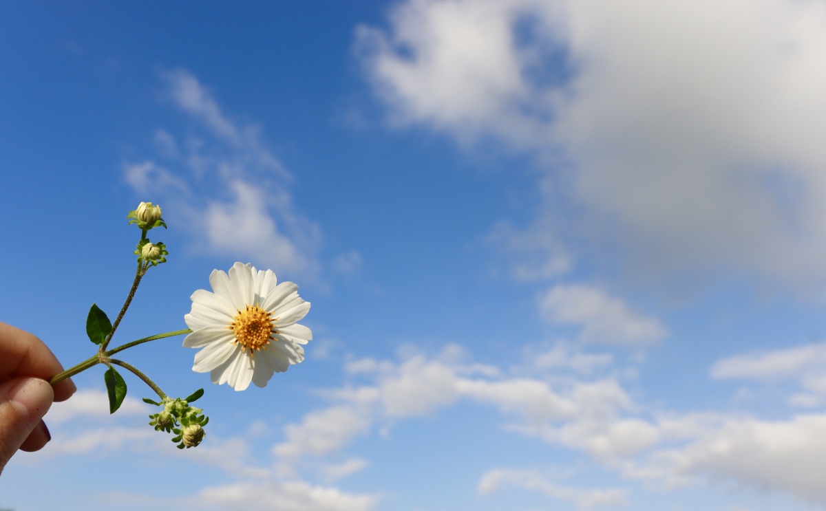 天空是蓝色的77