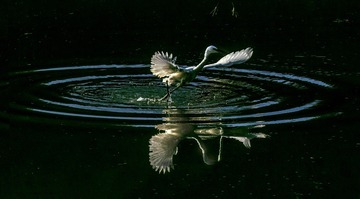 IMG_20221030_152003