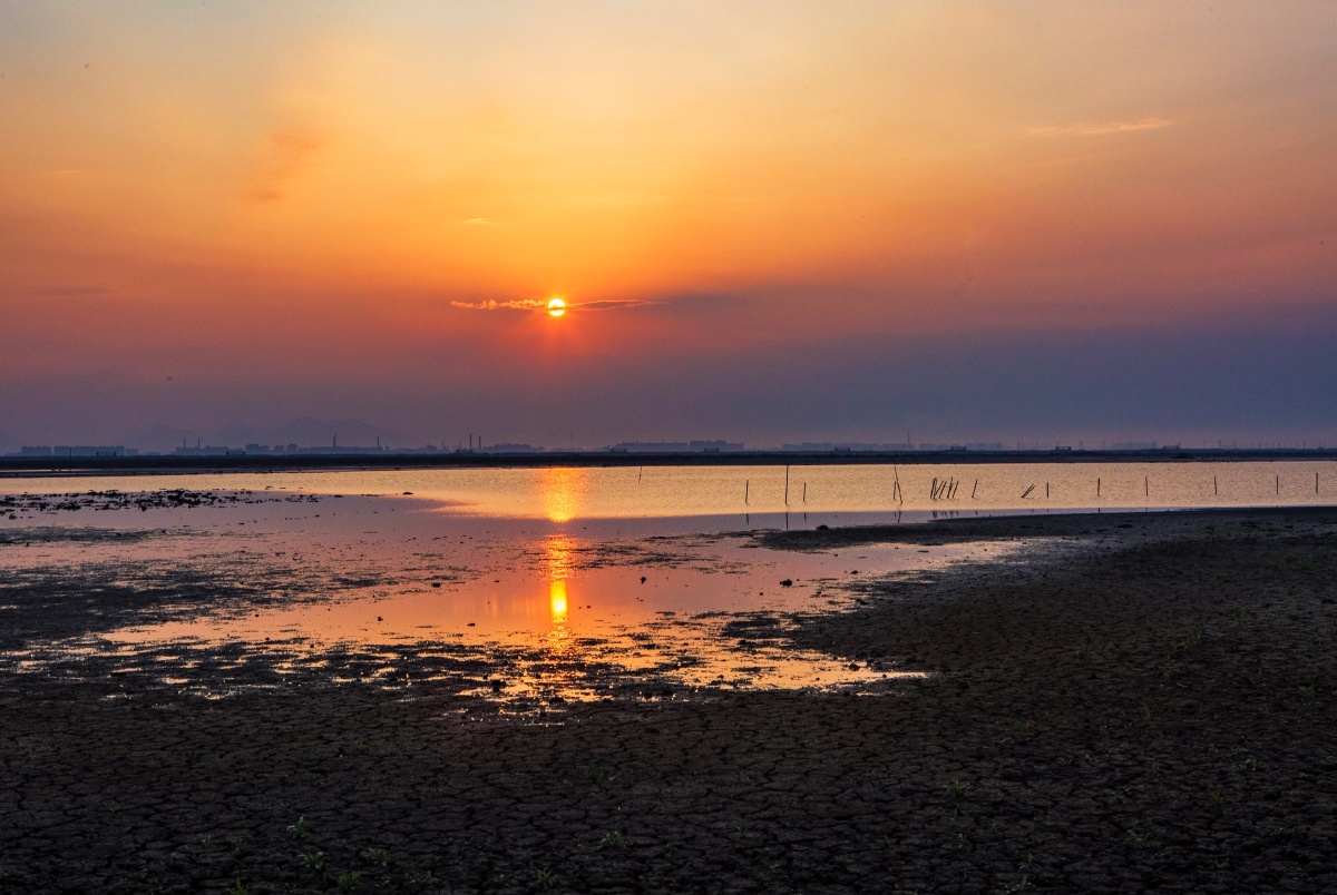 东塘一滩涂之光