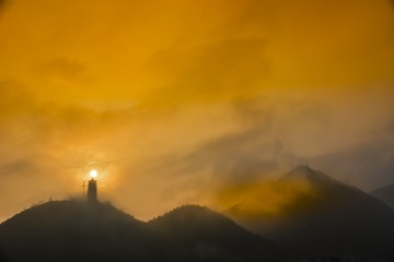 1197771