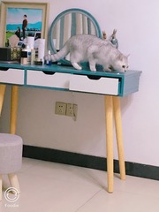 001