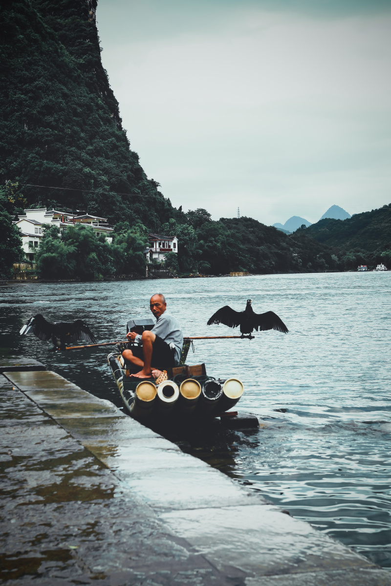 渔家拍摄于桂林阳朔漓江边渔夫竹筏鱼鹰