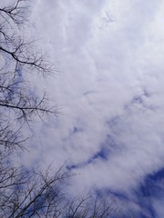 1056047