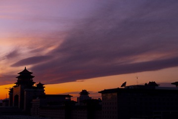2020091