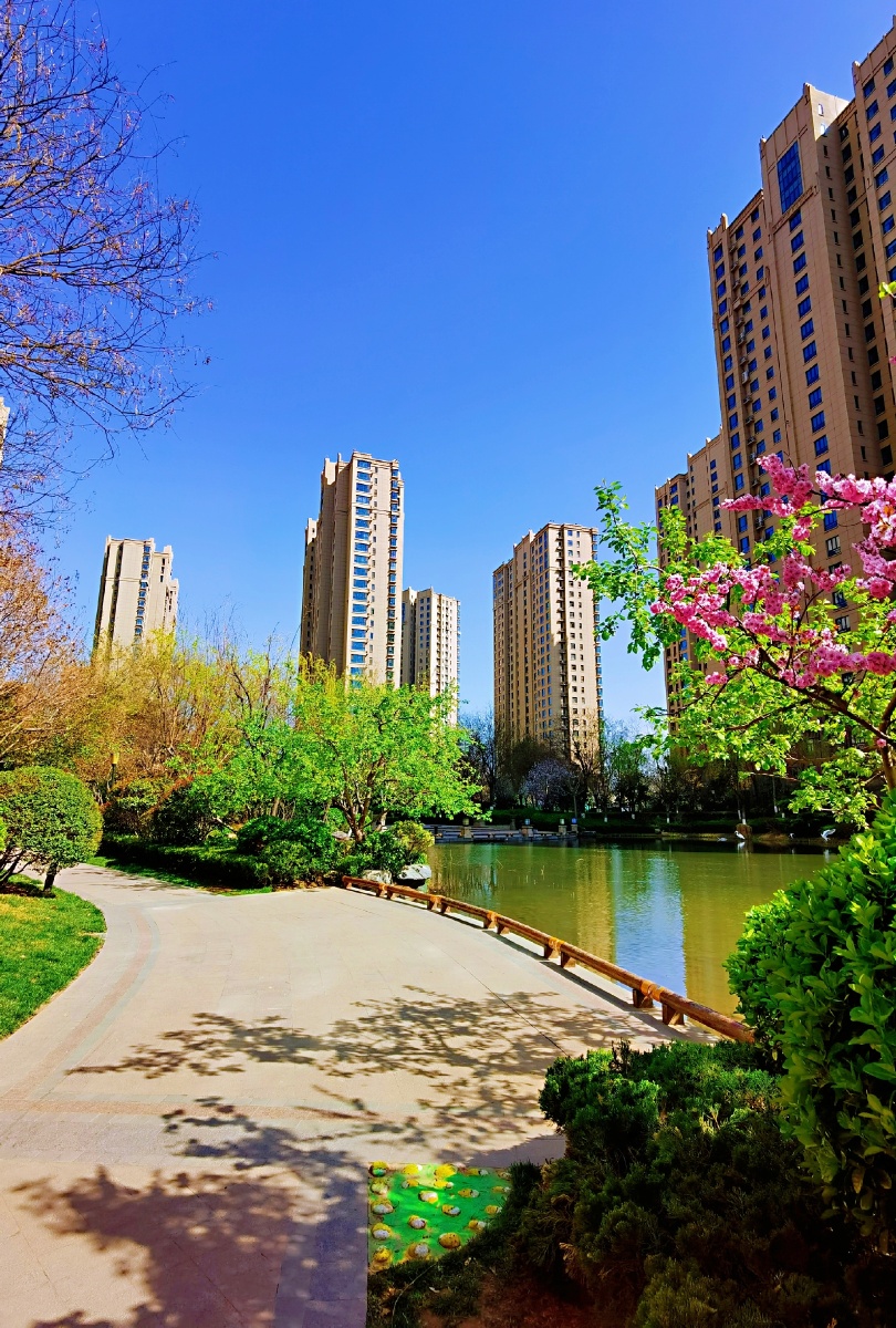 春天的家园随拍