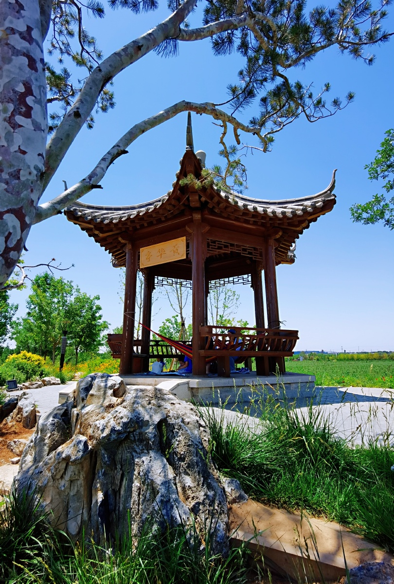 休闲纳凉拍于沁河郊野公园