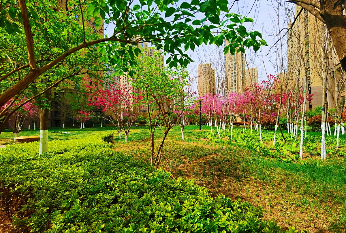 春天的家园随拍