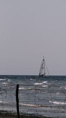 A4E918C8-0D19-4FA0-A659-BA169E6ACA40/L0/001