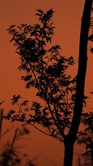 7C7D7355-5A0B-4029-ADAF-AF394283B394/L0/001