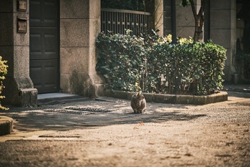 DSCF5861