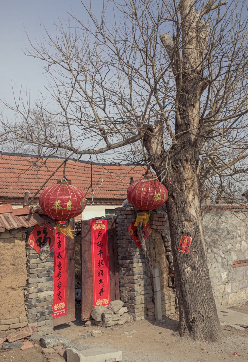 与半棵树 - 图虫