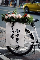 5C49B30A-20E8-455B-9D70-EA05931F0C72/L0/001