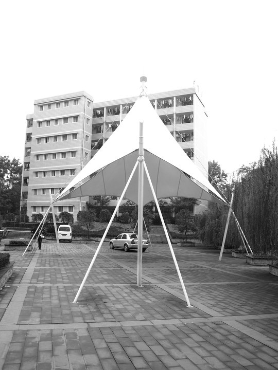 校园一景<br />
重庆秋冬的天气就是这样.很难见太阳.天天都是阴天,全部是都是散光,我技术有限都不知道散光怎么出好作品,索性就转黑白拍吧!