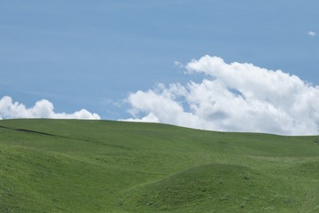 1000135911
