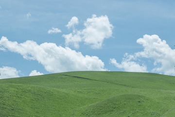 1000135936