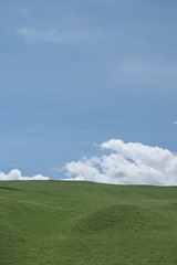 1000135908
