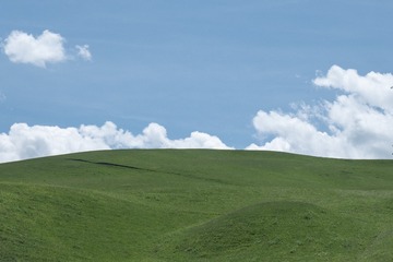 1000136012