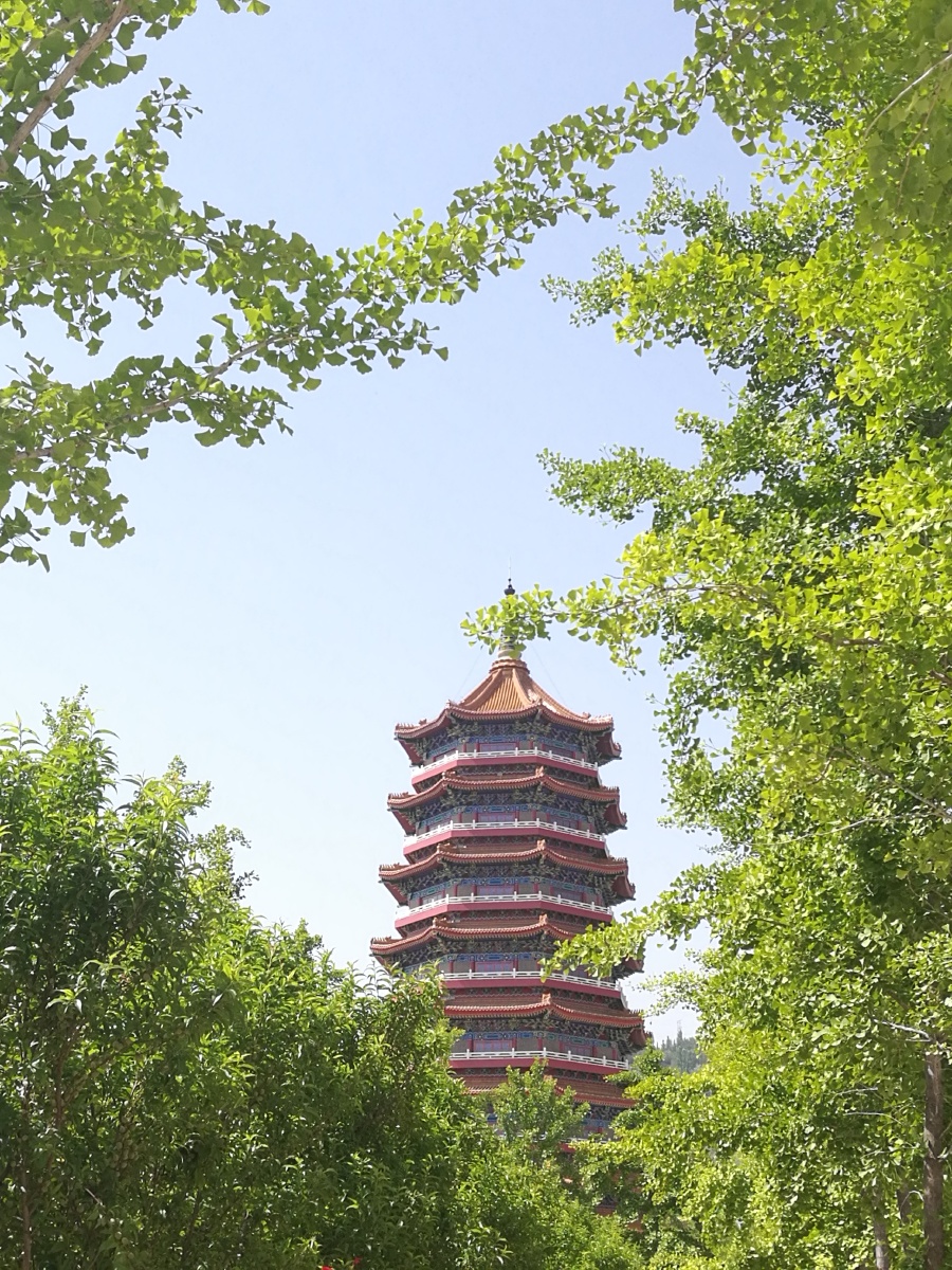 兰州金城公园的景色.