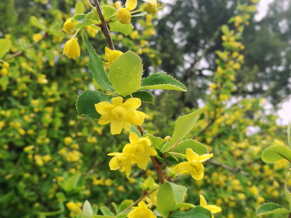 遇见黄芦木摄影