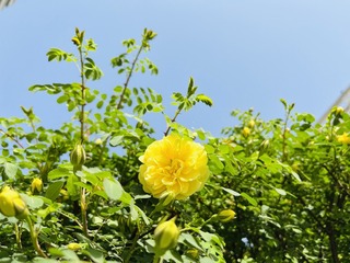 C765C811-8620-4A8B-854D-B09A4AD19D8E/L0/001