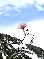 B2F42CA6-70B2-48CA-B1CA-54127C64B001/L0/001