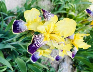 565F1926-5298-4AB1-9AE1-FF5283CD99B0/L0/001