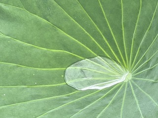 7F7930CE-06B6-40CA-A6E8-E5349DBC48B8/L0/001