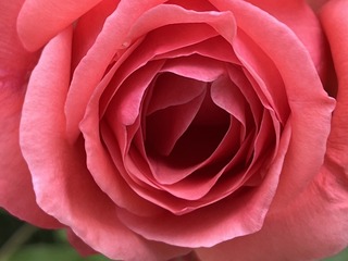 8D7820BC-44BB-4641-8658-F94D12CABF0C/L0/001