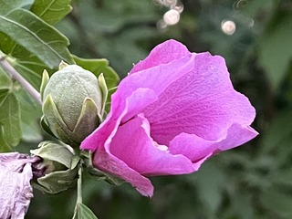 1C630C76-1DEA-42D1-8F43-0AEE839383F4/L0/001