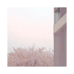 541E1439-A71B-40D9-9DCD-E2C63C33961A/L0/001