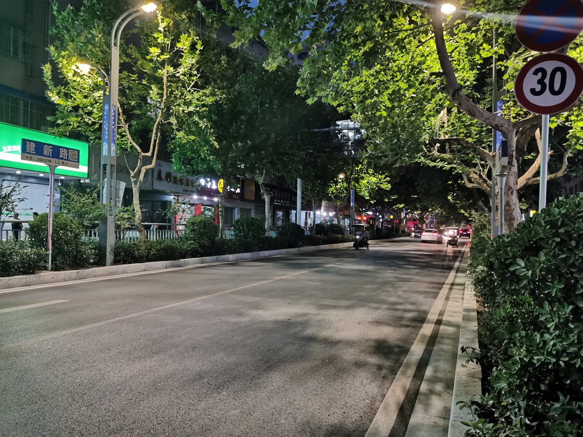 城市夜晚树才能喧嚣