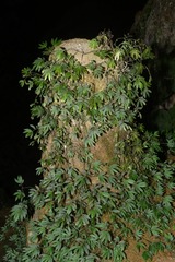 520058