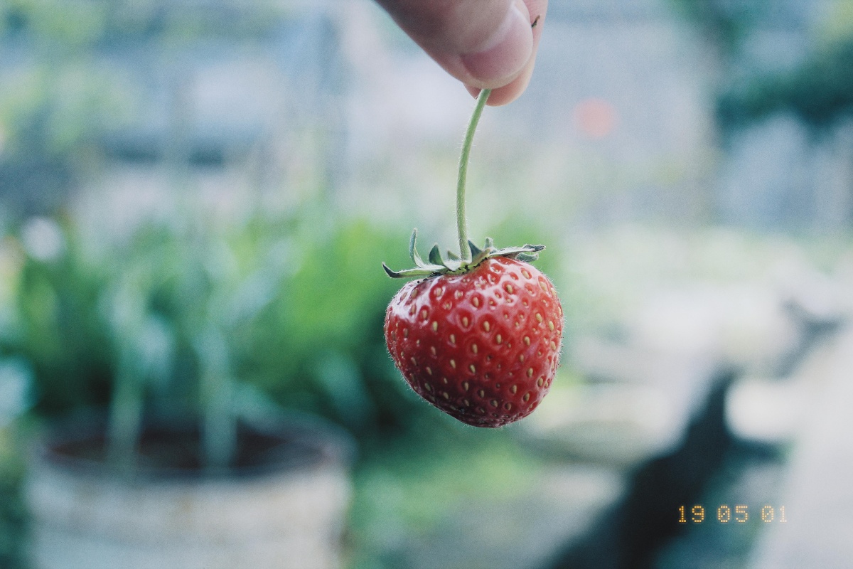 抓住那个胖子759