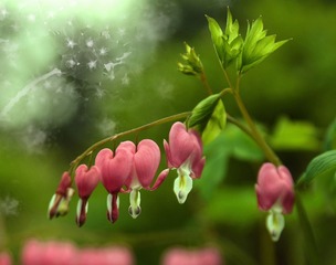 DSC_0462_光影1