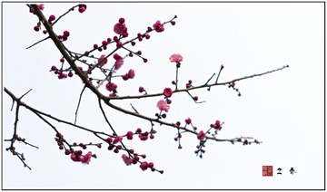 _DSC0053.jpg晚上