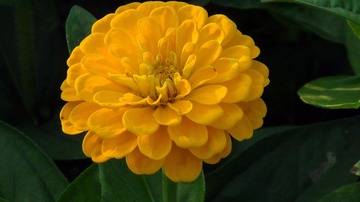 DSC08561_看图王_看图王