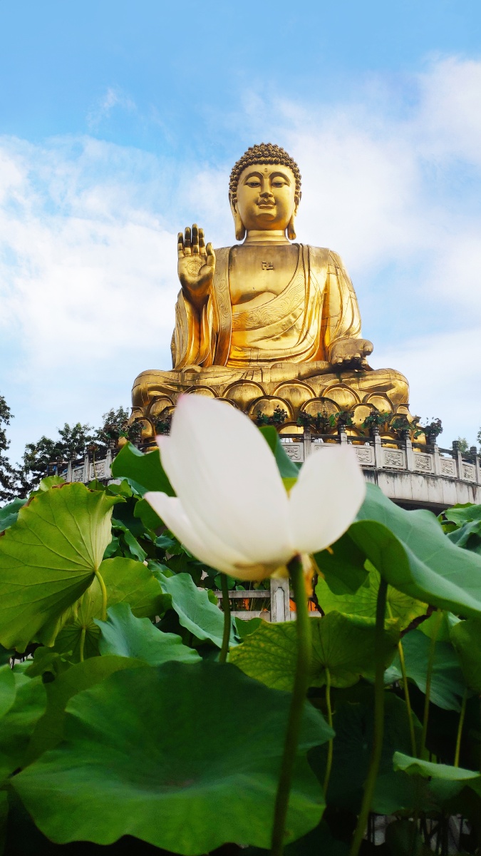 露天金佛 - 不完美才美638 - 图虫