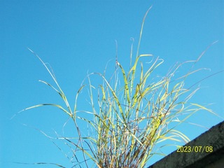 76AB3026-63AF-4F99-B8FF-D05B87A9E838/L0/001