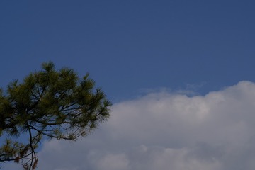 D200695B-E866-47F2-A7A9-5112EC85CC54/L0/001