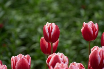 4CF1D770-5846-4D19-8657-4F09E09E9C5B/L0/001
