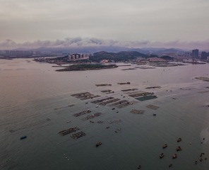 DJI_0253