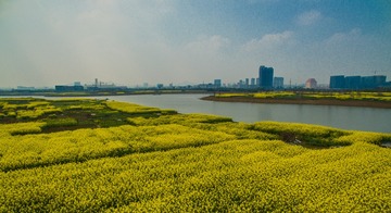 DJI_0043