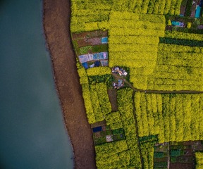 DJI_0031