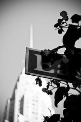 Chrysler Building Series-5