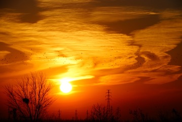 LRG_DSC00120