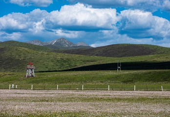 DSCF1274-2