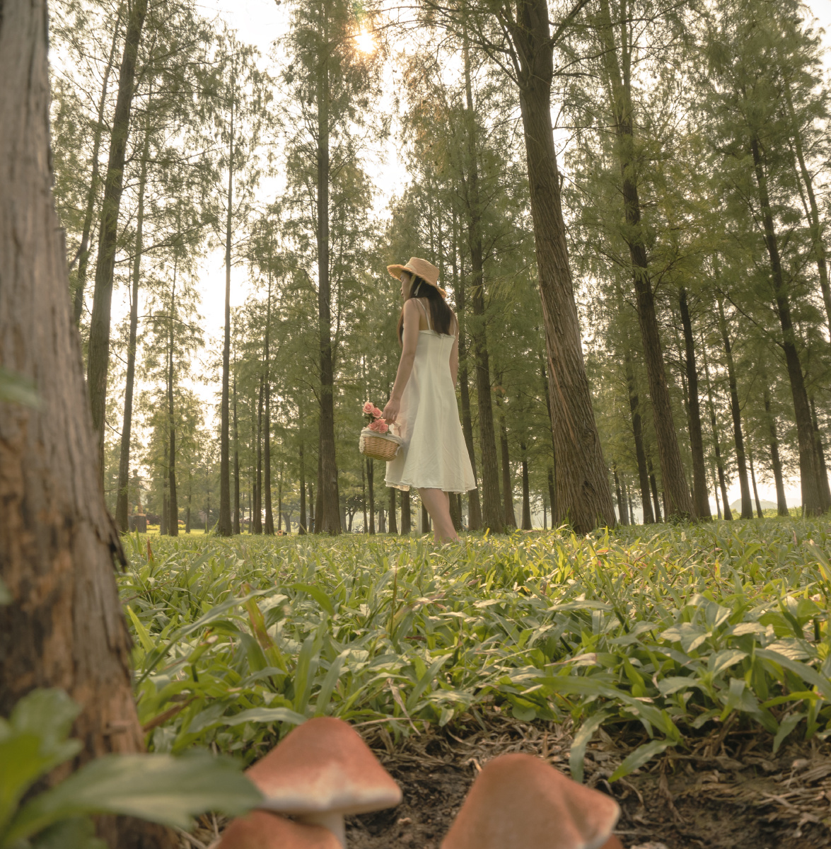 森林中的小女孩