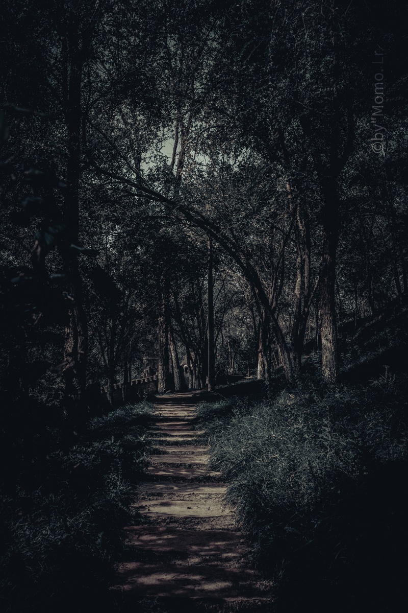 一组暗黑系森林调色的乌鲁木齐水磨沟公园