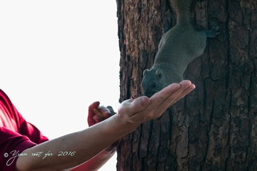 _DSC5064-2